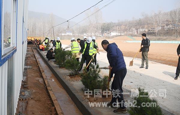 齐心协力植树