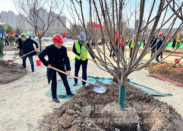 雁塔区老旧小区改造项目植树活动